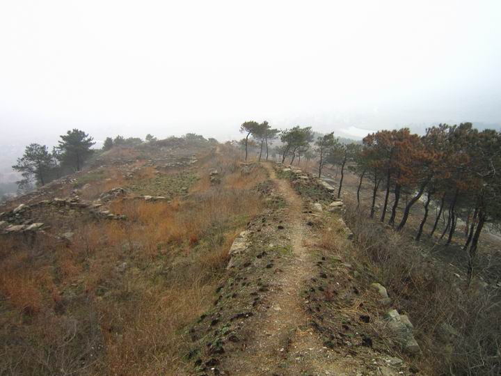 独自寻找伏马山 038.jpg