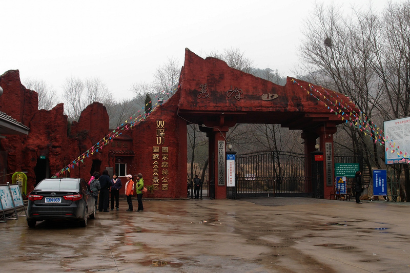 p3170483_1.jpg