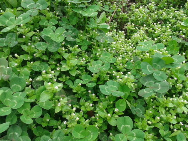 2012-03-18 09.49.19.jpg