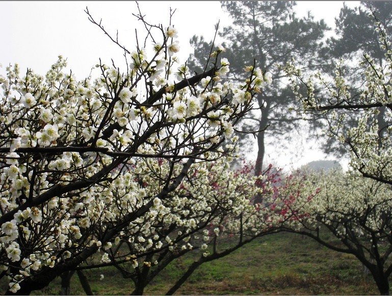 2012.3.18-30.jpg