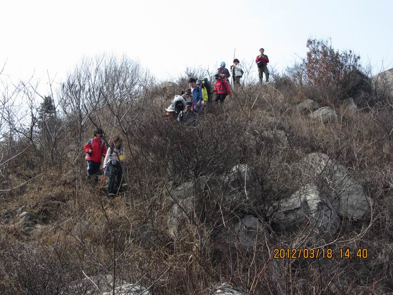 img_1803.jpg