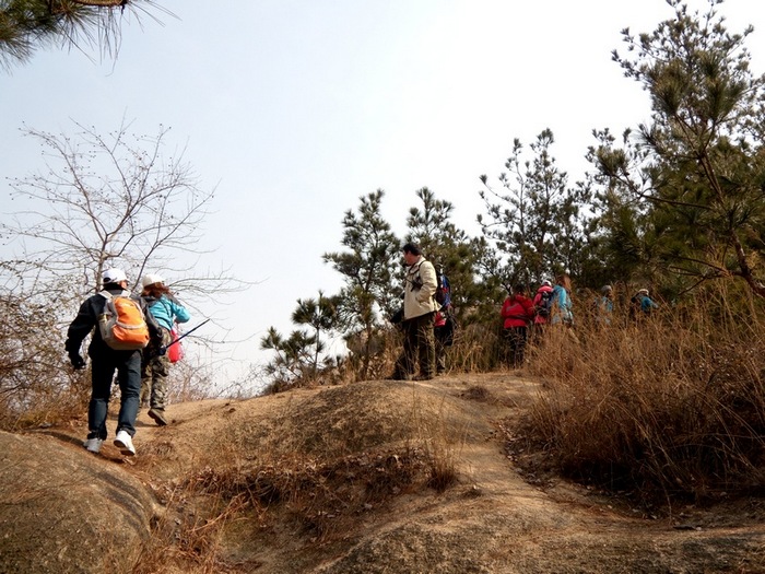dscn5081.jpg