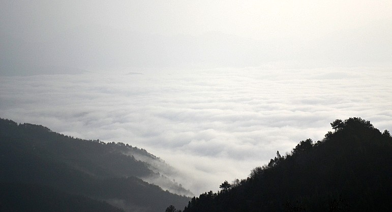 կ 081_conew1.jpg