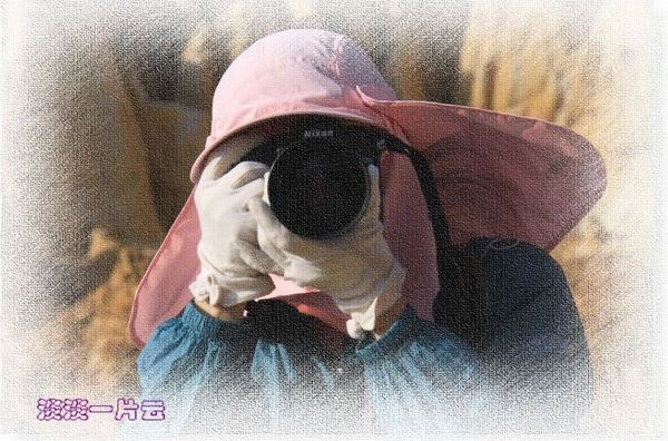 20123191243320510-.jpg