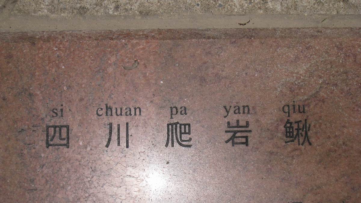С 484 024.jpg