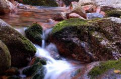 s_20076555604378.jpg
