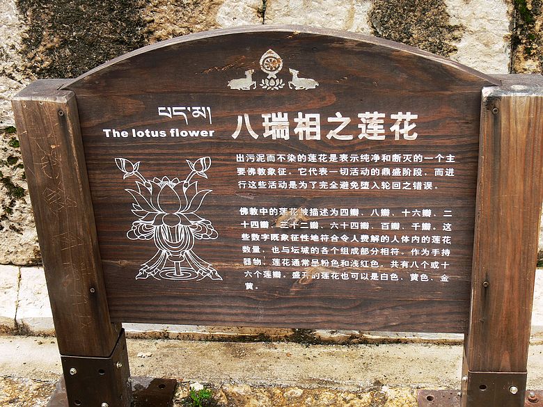 p1160167.jpg