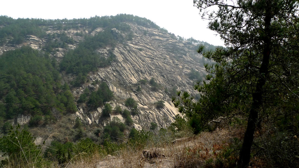 p1080022.jpg