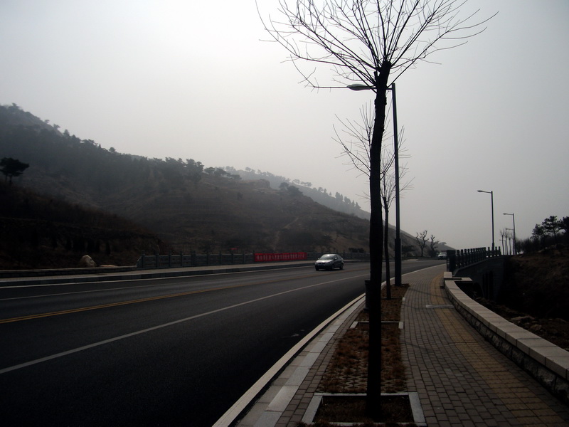 dscf0081.jpg