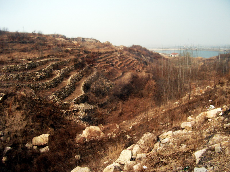 dscf0082.jpg
