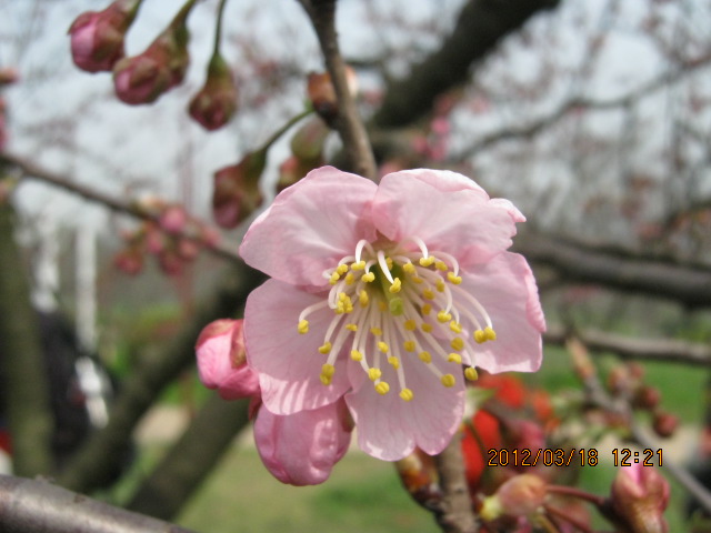img_5912.jpg