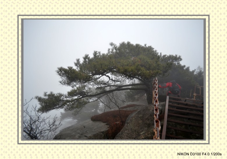 կ 057_conew1.jpg