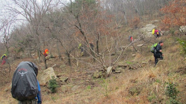 conew_img_3981.jpg