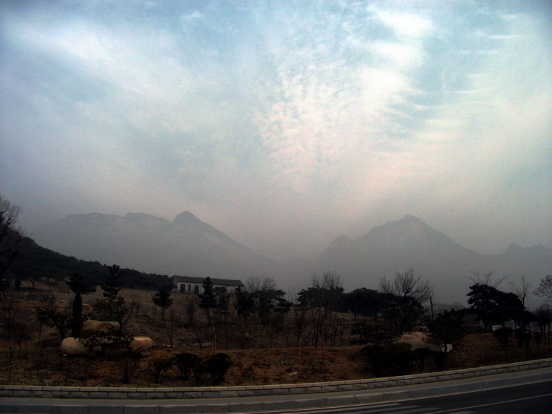 dscf0109.jpg