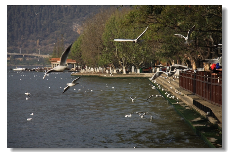 img_8739.jpg