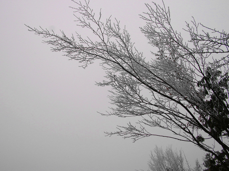 dscn4768_.jpg