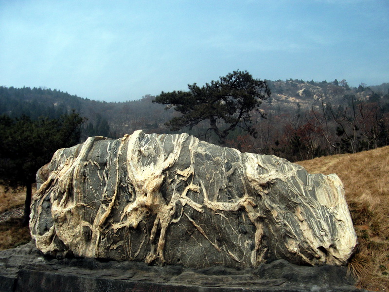 dscf0129.jpg