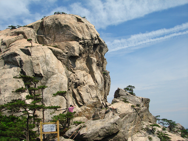 dsc08004_.jpg