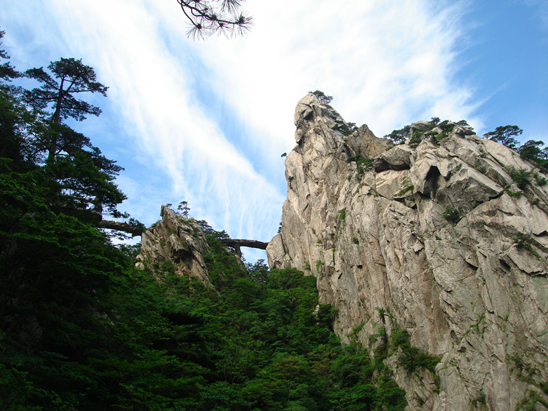 dsc07998_.jpg