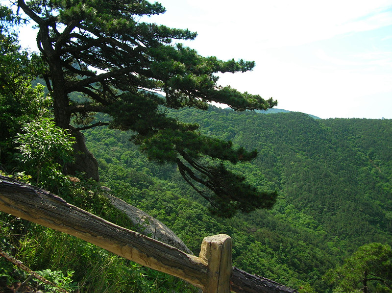 dscn2859_.jpg