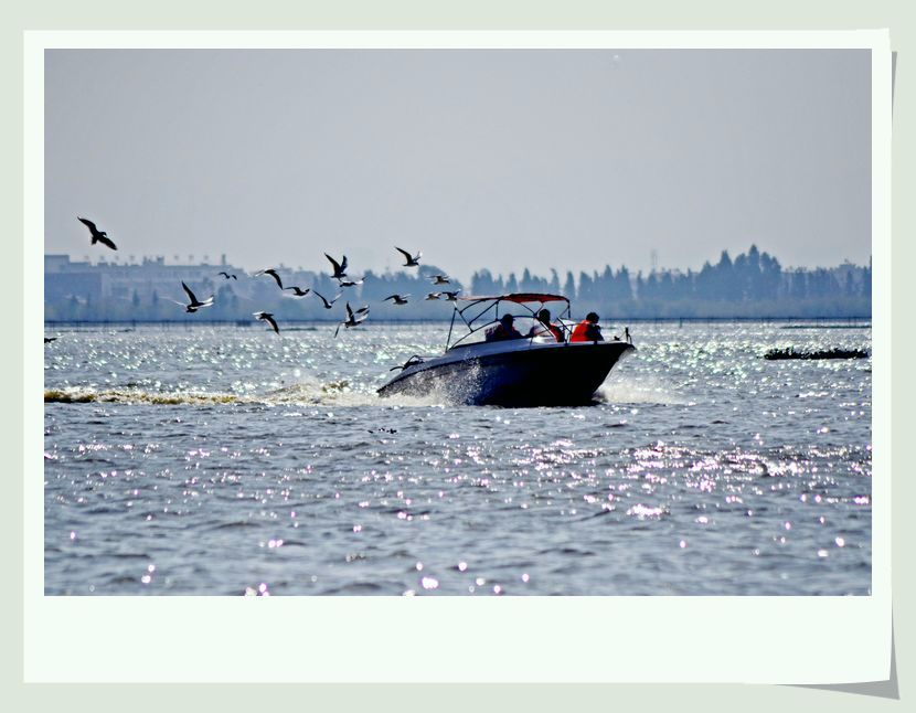 neo_img_dsc_1371.jpg