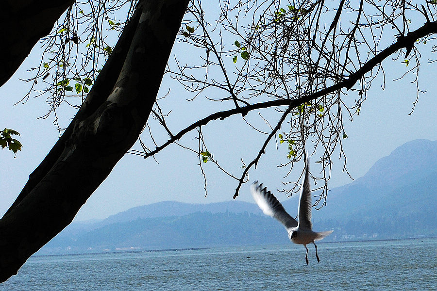 dsc_0738.jpg