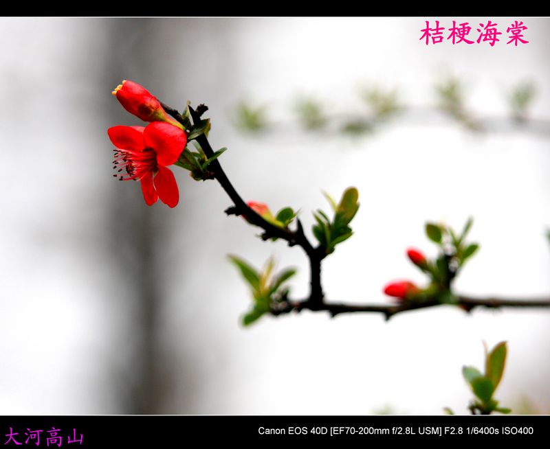 img_9596.jpg