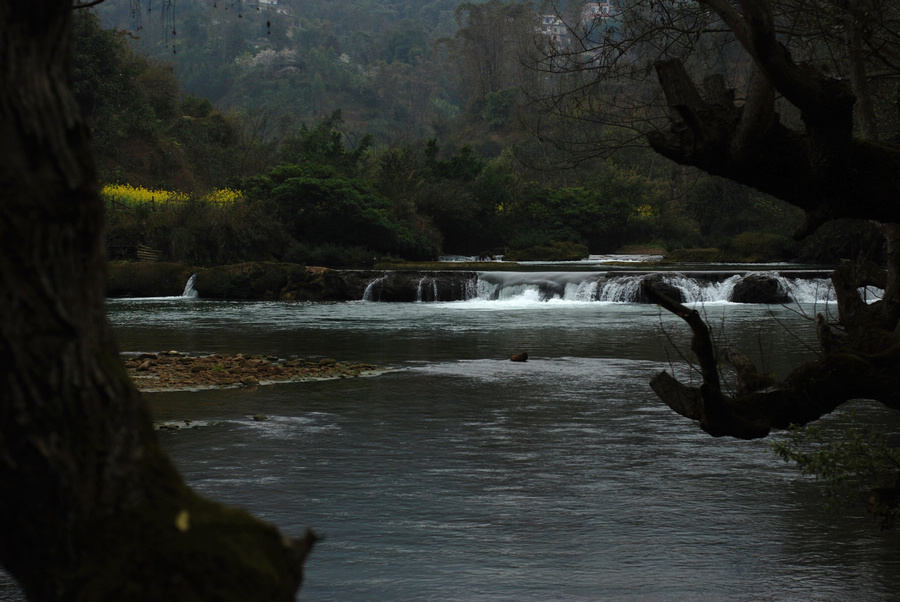 dsc_0448.jpg