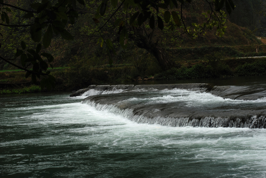 dsc_0502.jpg