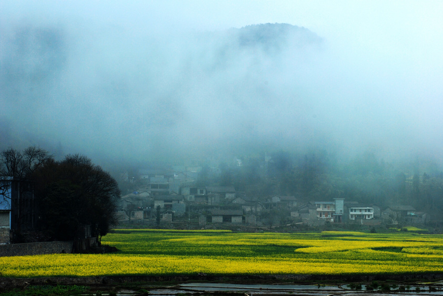 dsc_0677.jpg