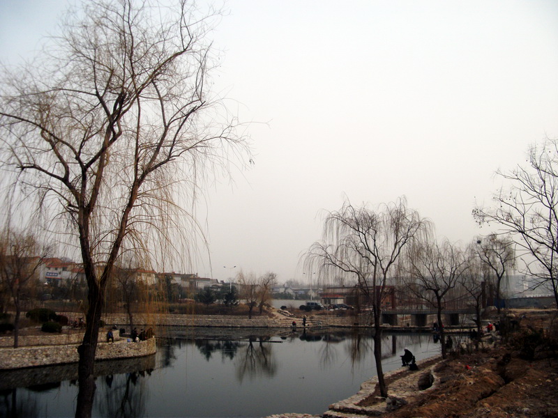 dscf0184.jpg
