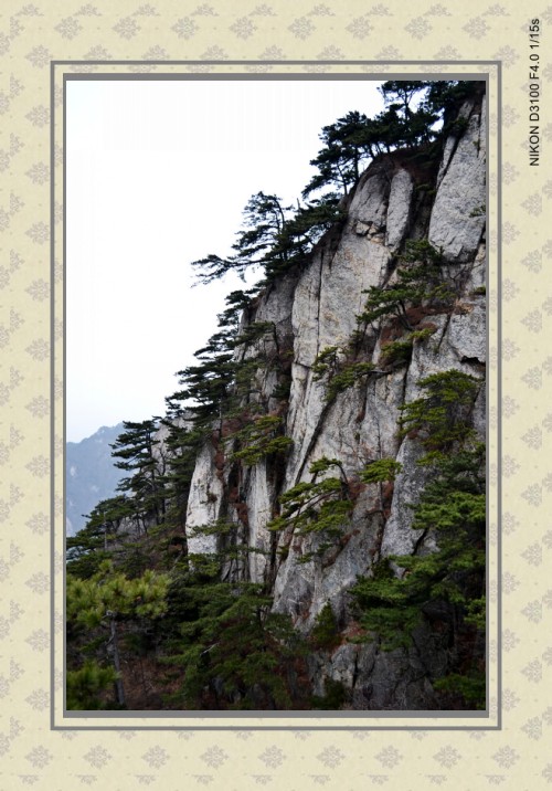 կ 217_conew1.jpg