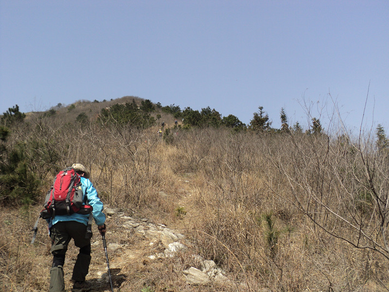 dsc07672_.jpg