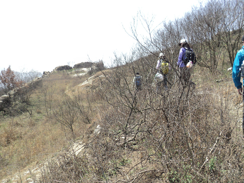 dsc07681_.jpg