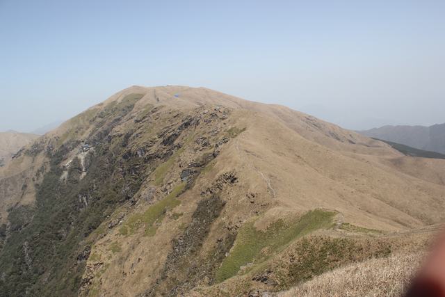 img_1800.jpg