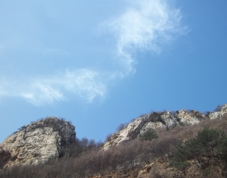 羰001.jpg