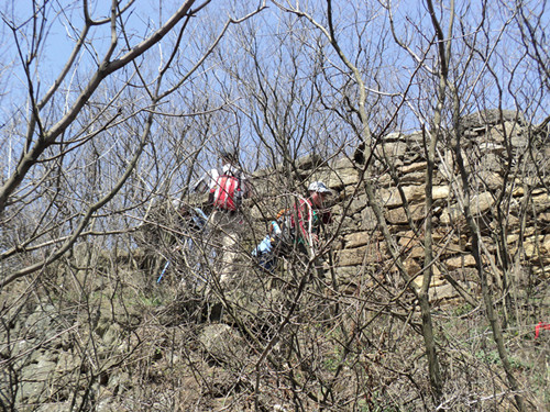 dsc07687__.jpg