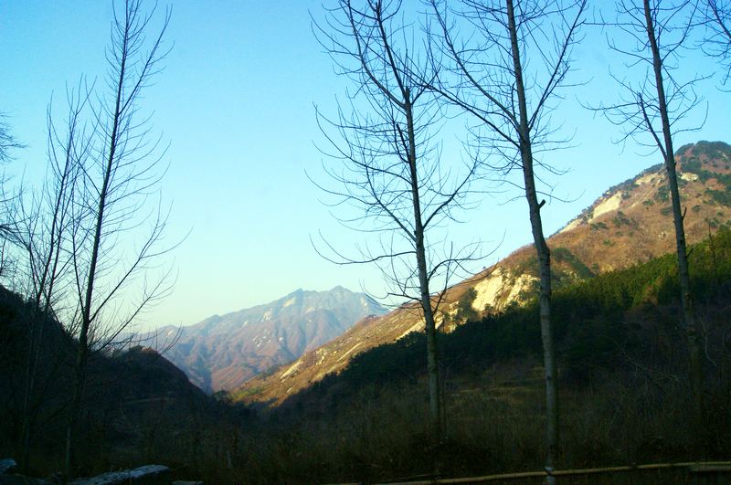 dsc06720.jpg