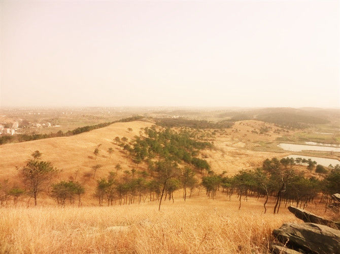49010.jpg