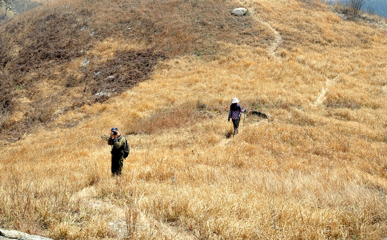 yjw_9463_.jpg