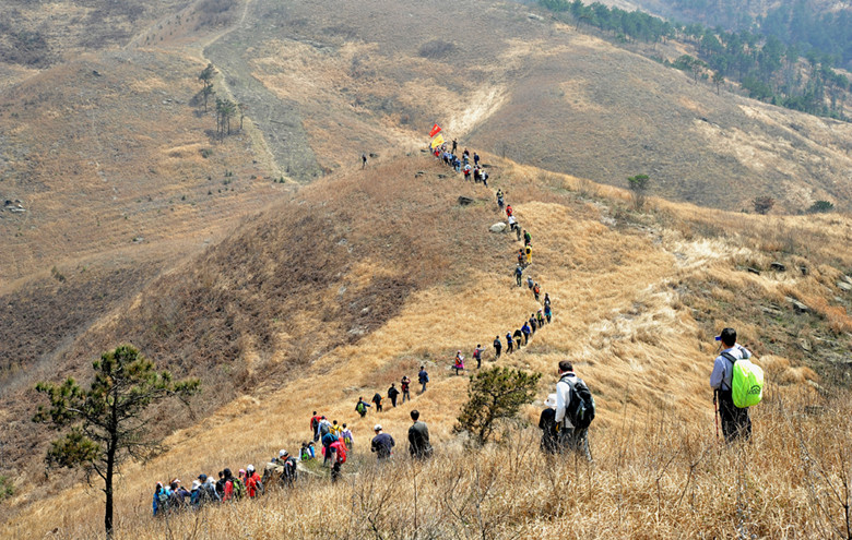 yjw_9459_.jpg
