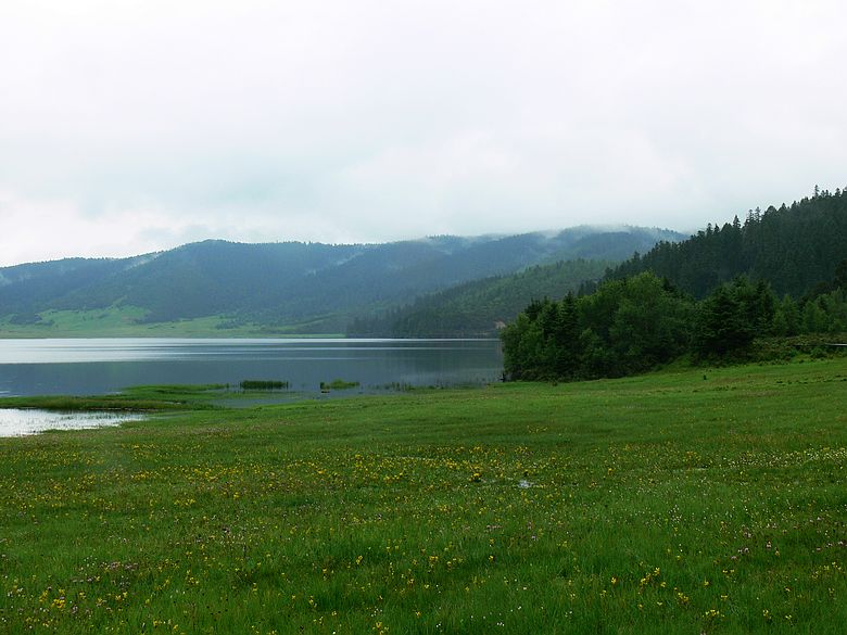 p1160194.jpg