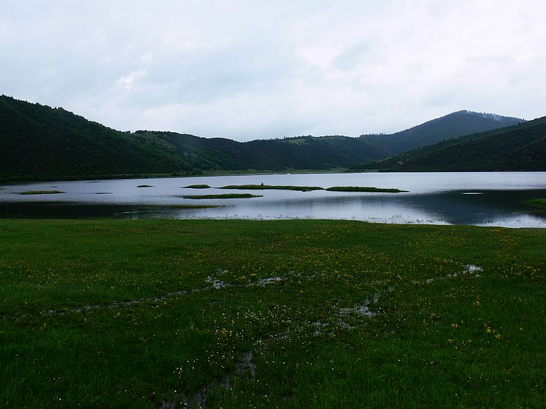 p1160195.jpg