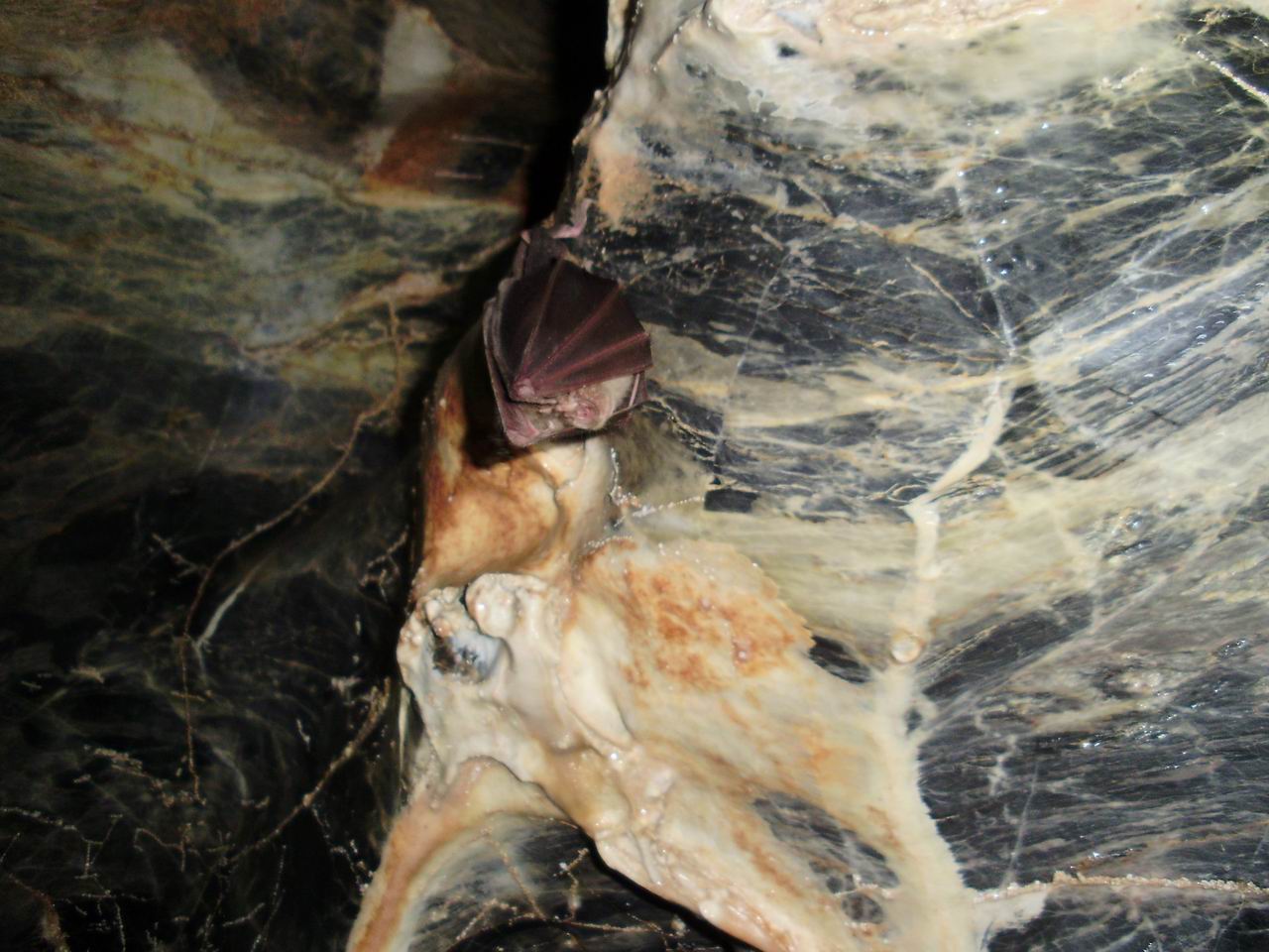 pb130016.jpg