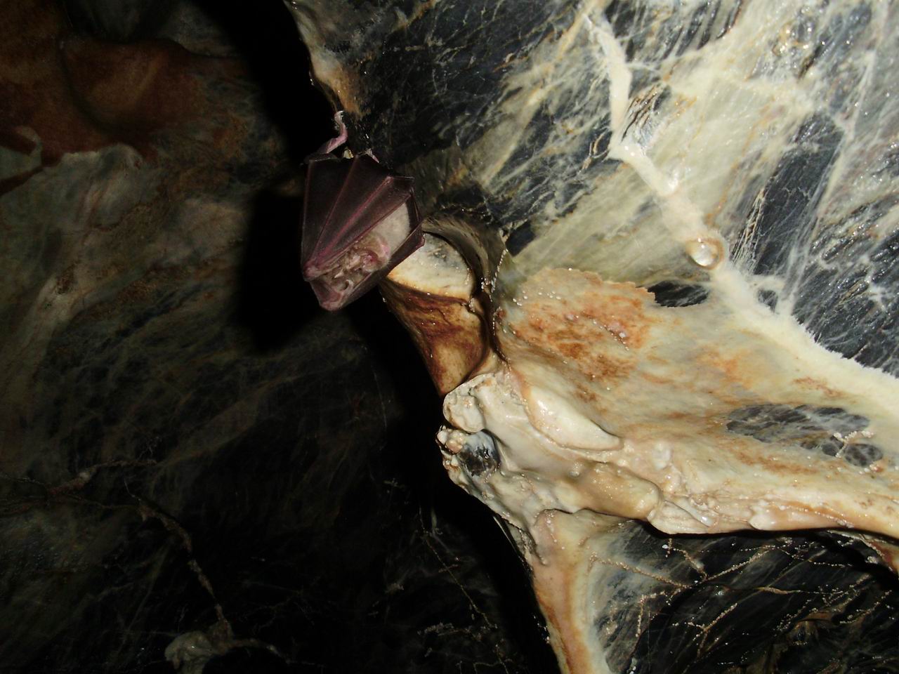 pb130018.jpg
