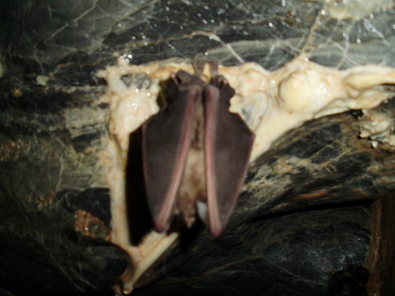 pb130019.jpg