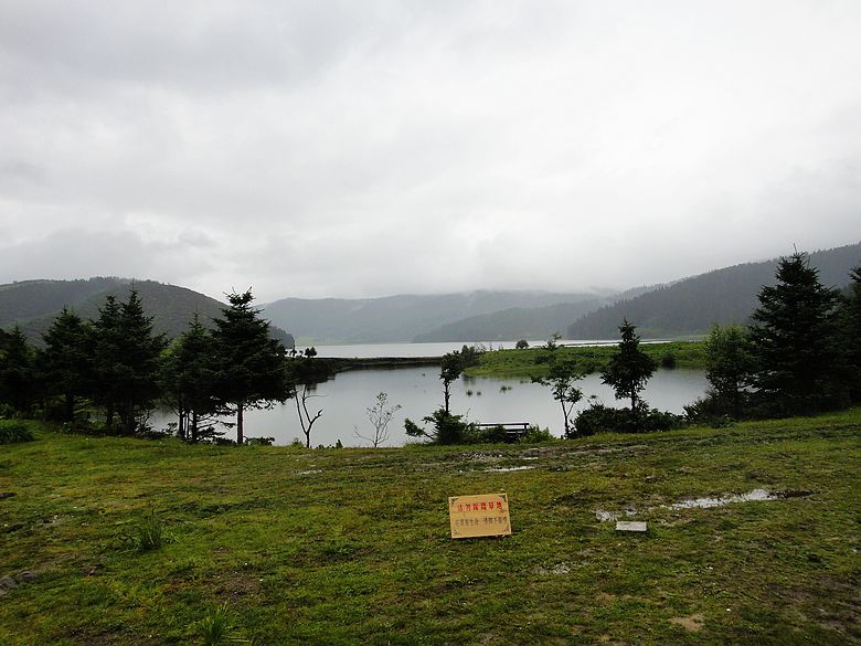 dsc05783.jpg