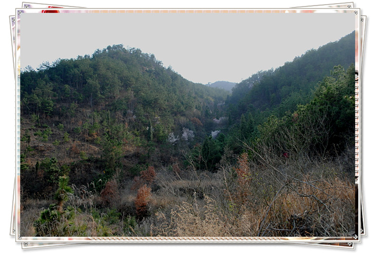dsc_0083_.jpg