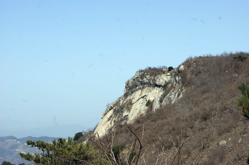 dsc06809.jpg