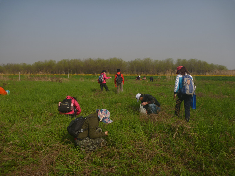 p1100823_.jpg
